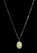Million Year Old Fossil Coral Necklace #35771-2